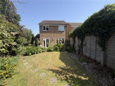 Picture 20